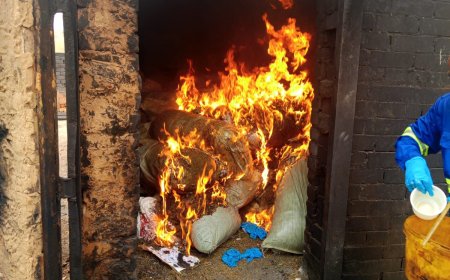 SIC/LUANDA INCINERA MAIS DE UMA TONELADA DE LIAMBA E DETÉM 47 CIDADÃOS