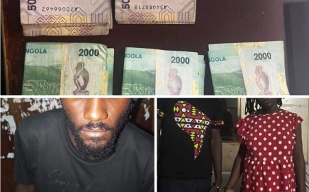 2 MILHÕES EM CAUSA: FILHA SIMULA PRÓPRIO RAPTO PARA EXTORQUIR MÃE