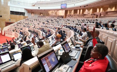 MPLA CHUMBA DIPLOMAS DA UNITA E TRAVA PROPOSTAS DE REFORMA ELEITORAL