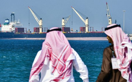 EMIRADOS ÁRABES UNIDOS ABANDONAM OPEP