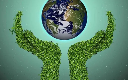 PEQUENOS HÁBITOS QUE FAZEM A DIFERENÇA NA PRESERVAÇÃO DO MEIO AMBIENTE