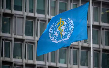 INFECÇÕES POR HEPATITE B CAEM 32% A NÍVEL MUNDIAL, MAS OMS ALERTA PARA PROGRESSO INSUFICIENTE