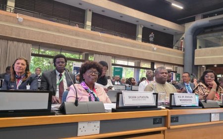 ANGOLA REDUZ EM 70% A DEPENDÊNCIA DA AJUDA EXTERNA NO FINANCIAMENTO DA SAÚDE