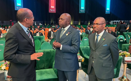 ANGOLA DEFENDE MAIS FINANCIAMENTO CLIMÁTICO PARA ÁFRICA