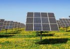 PRESIDENTE INAUGURA PARQUE SOLAR NO LUAU E REFORÇA ACESSO À ENERGIA NO MOXICO LESTE