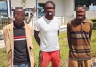 CIDADÃOS DETIDOS POR SUSPEITA DE HOMICÍDIO DE SOBAS E REGEDOR