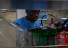 ANGOLA ACTIVA PLANO DE CONTINGÊNCIA PARA IMPEDIR ENTRADA DO ÉBOLA