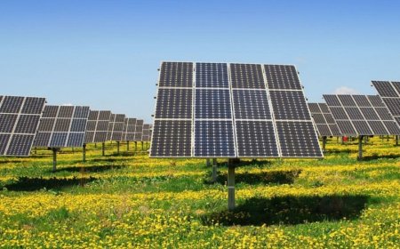 PRESIDENTE INAUGURA PARQUE SOLAR NO LUAU E REFORÇA ACESSO À ENERGIA NO MOXICO LESTE