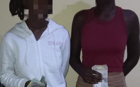 NAMORADA ALIA-SE À AMIGA E FURTA 1.900 DÓLARES E 400 MIL KWANZAS DO PARCEIRO