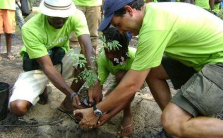 CONSCIENCIALIZAÇÃO AMBIENTAL COMO CADEIA DE VALOR NA SOCIEDADE ANGOLANA
