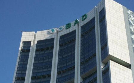 BAD DESEMBOLSA MAIS DE 90 MILHÕES DE DÓLARES PARA TRANSFORMAR CONTRATAÇÃO PÚBLICA EM ANGOLA