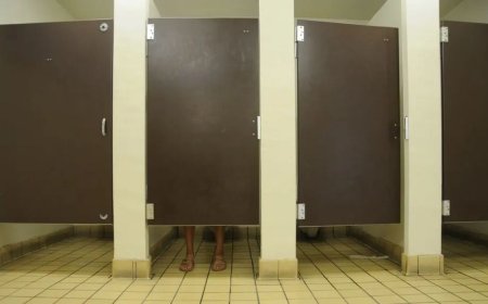 ENTRE A PRIVACIDADE E A PRATICIDADE: O MISTÉRIO DAS PORTAS DOS BALNEÁRIOS PÚBLICOS
