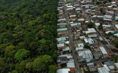 RUMO A 2030: BRASIL ENFATIZA PLANO PARA MANTER FLORESTA EM PÉ E GERAR RENDA