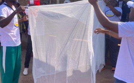 ANGOLA AVANÇA PARA PRODUÇÃO DE MOSQUITEIROS E REFORÇA LIDERANÇA AFRICANA NO COMBATE À MALÁRIA