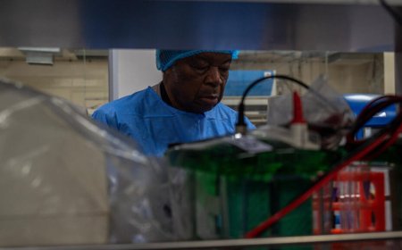 ANGOLA ACTIVA PLANO DE CONTINGÊNCIA PARA IMPEDIR ENTRADA DO ÉBOLA