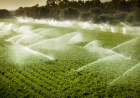 BANCOS REFORÇAM APOIO AO SECTOR AGRÍCOLA NO PERÍMETRO IRRIGADO DO CAXITO
