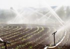 REPRESA NO CHICOMBA VAI REFORÇAR PRODUÇÃO AGRÍCOLA E SEGURANÇA ALIMENTAR NA HUÍLA