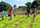 GOVERNO LANÇA ‘COMPACTO AGRICONNECT’ PARA REDUZIR IMPORTAÇÃO DE ALIMENTOS ATÉ 2030