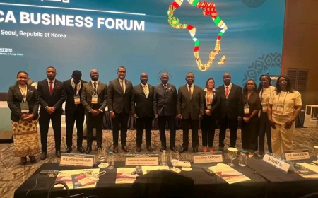 FÓRUM COREIA-ÁFRICA DEBATE INVESTIMENTOS COM PARTICIPAÇÃO DE ANGOLA