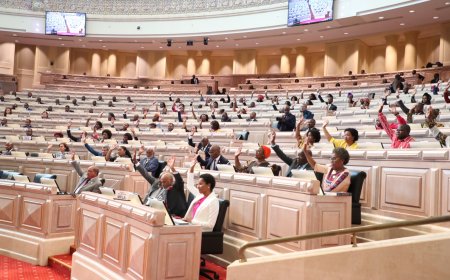 ALTERAÇÕES À LEI DE COMBATE AO BRANQUEAMENTO DE CAPITAIS SEGUEM PARA DEBATE NA ESPECIALIDADE NA ASSEMBLEIA NACIONAL