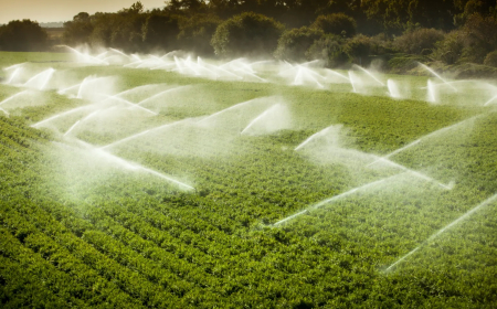 BANCOS REFORÇAM APOIO AO SECTOR AGRÍCOLA NO PERÍMETRO IRRIGADO DO CAXITO
