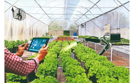 SÉRVIA PROMETE APOIAR ANGOLA COM FERTILIZANTES E TECNOLOGIA AGRÍCOLA