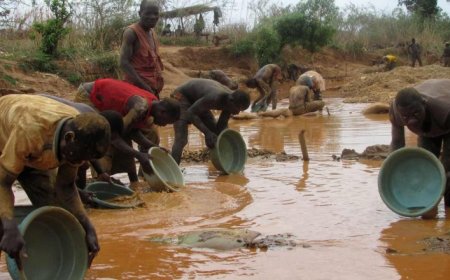 EXECUTIVO REFORÇA COMBATE À EXPLORAÇÃO ILEGAL DE OURO E DIAMANTES NO PAÍS
