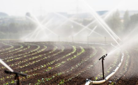 REPRESA NO CHICOMBA VAI REFORÇAR PRODUÇÃO AGRÍCOLA E SEGURANÇA ALIMENTAR NA HUÍLA