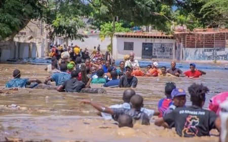 CHEIAS EM BENGUELA: PEDIDOS DE FINANCIAMENTO JÁ DÃO ENTRADA NO BANCO DE POUPANÇA E CRÉDITO