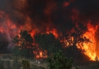 ONDA DE CALOR AGRAVA INCÊNDIOS FLORESTAIS NA EUROPA