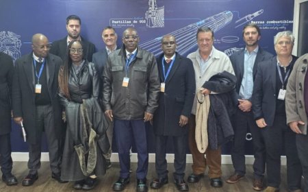 ANGOLA APOSTA EM PARCERIA COM A ARGENTINA PARA IMPULSIONAR TECNOLOGIA NUCLEAR E SECTOR ENERGÉTICO