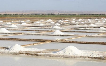 GOVERNO APOSTA NA EXPANSÃO DA PRODUÇÃO DE SAL PARA DIVERSIFICAR ECONOMIA
