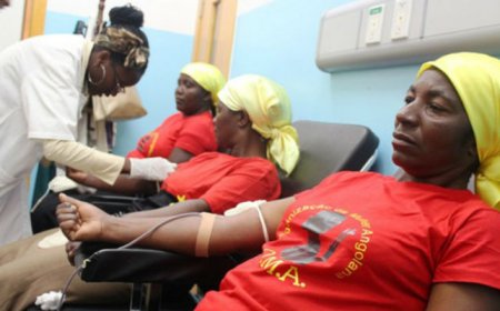 OMA DOA 76 BOLSAS DE SANGUE AO HOSPITAL GERAL DO HUAMBO
