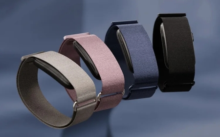 GARMIN LANÇA PULSEIRA INTELIGENTE SEM ECRÃ