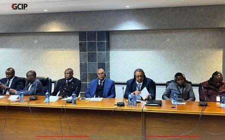 ADALBERTO COSTA JÚNIOR PARTICIPA NA SESSÃO INAUGURAL DO PARLAMENTO PAN-AFRICANO NA ÁFRICA DO SUL
