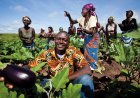 KIBALA ACOLHE PRIMEIRA EDIÇÃO DO DIA DO CAMPO COM ESPECIALISTAS INTERNACIONAIS