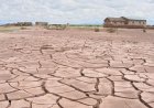ANGOLA PARTICIPA NA COP17 COM FOCO NO COMBATE À DESERTIFICAÇÃO E REFORÇO DO FINANCIAMENTO