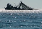 SEIS DIAS DEPOIS DO NAUFRÁGIO, CONTINUAM BUSCAS POR QUATRO MARINHEIROS EM BENGUELA