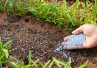 EXECUTIVO REFORÇA FERTILIZANTES PARA GARANTIR CAMPANHA AGRÍCOLA 2025/2026