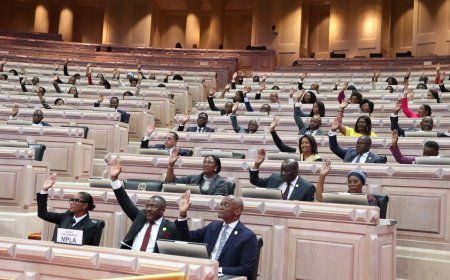 DEPUTADOS RETOMAM DEBATE NA ESPECIALIDADE DA PROPOSTA DE LEI DA CIBERSEGURANÇA