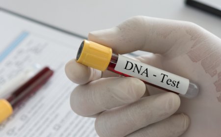 FAMILIARES COLABORAM NA RECOLHA DE AMOSTRAS PARA TESTES DE DNA EM MALANJE