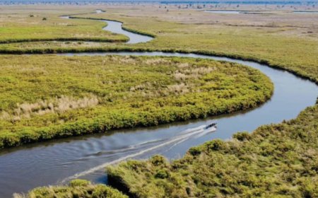 GOVERNO INVESTE 73 MILHÕES DE DÓLARES NO PÓLO TURÍSTICO DO OKAVANGO