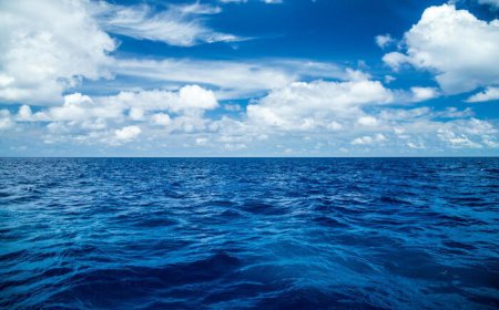OCEANOS REGISTAM EM JULHO A TEMPERATURA MAIS ALTA DE SEMPRE