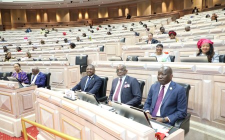PARLAMENTO ABRE CAMINHO PARA MOEDA DE 50 KWANZAS EM HOMENAGEM AOS 50 ANOS DO BNA