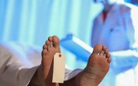 43 CORPOS RETIDOS NO HOSPITAL GERAL DOS CAJUEIROS POR FALTA DE BOLETINS DE ÓBITO