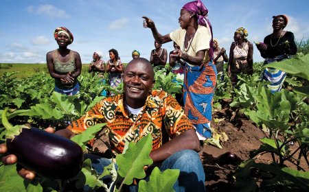 KIBALA ACOLHE PRIMEIRA EDIÇÃO DO DIA DO CAMPO COM ESPECIALISTAS INTERNACIONAIS