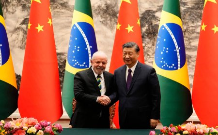 CHINA REFORÇA PRODUÇÃO INTERNA DE ALIMENTOS E PODE REDUZIR DEPENDÊNCIA DAS IMPORTAÇÕES