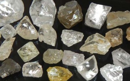 DOIS ESTRANGEIROS DETIDOS COM 759 DIAMANTES