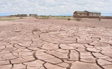 ANGOLA PARTICIPA NA COP17 COM FOCO NO COMBATE À DESERTIFICAÇÃO E REFORÇO DO FINANCIAMENTO