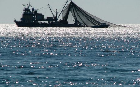 SEIS DIAS DEPOIS DO NAUFRÁGIO, CONTINUAM BUSCAS POR QUATRO MARINHEIROS EM BENGUELA